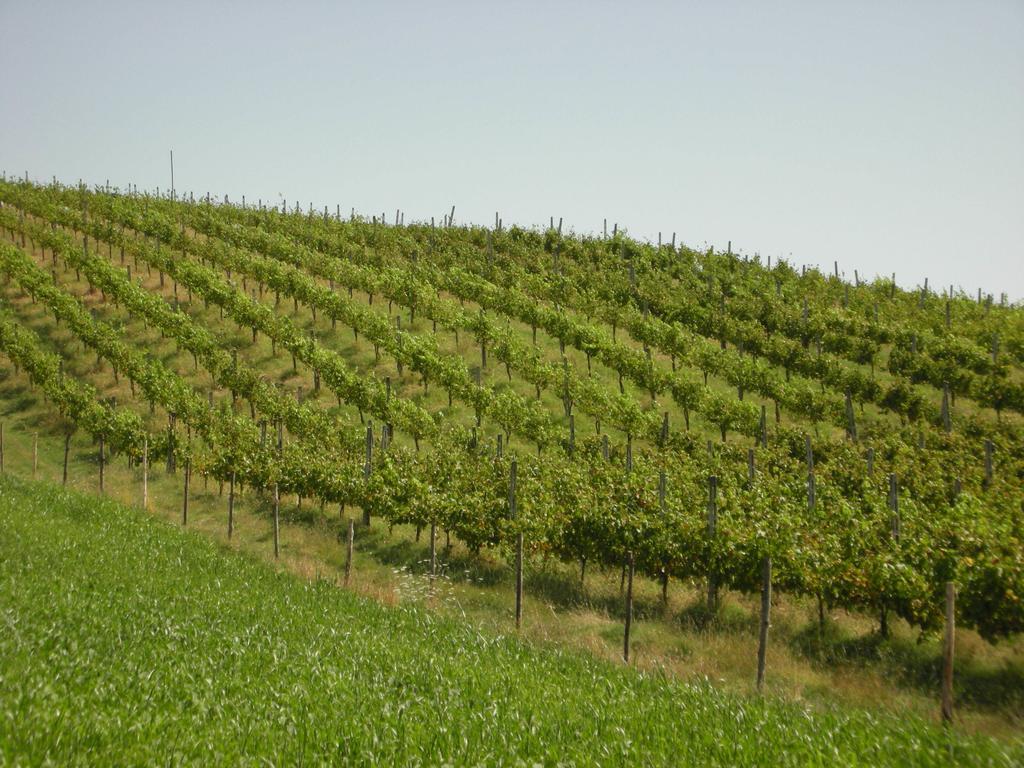 Crocemaroggia Agriturismo San Vito מראה חיצוני תמונה